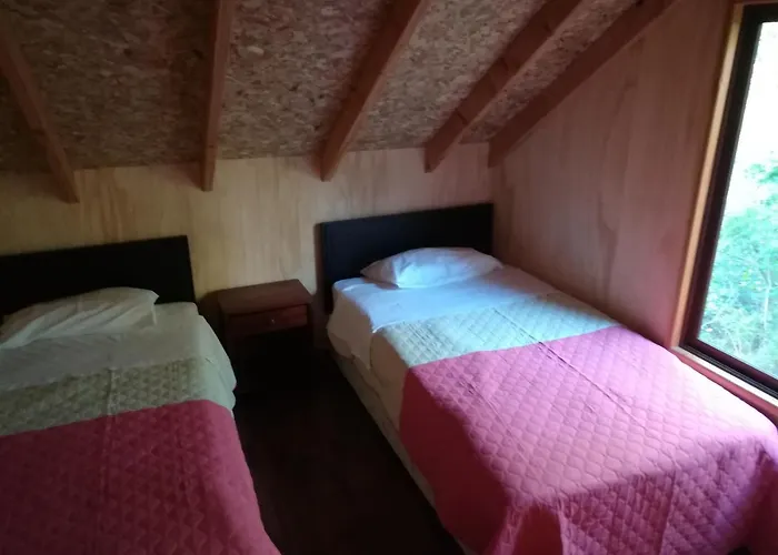 Cabanas Los Ulmos